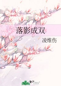 落影成双