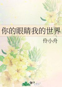 你的眼睛我的世界