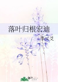 落叶归根宏迪