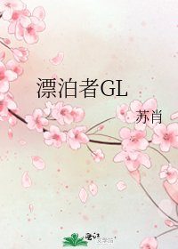 漂泊者GL